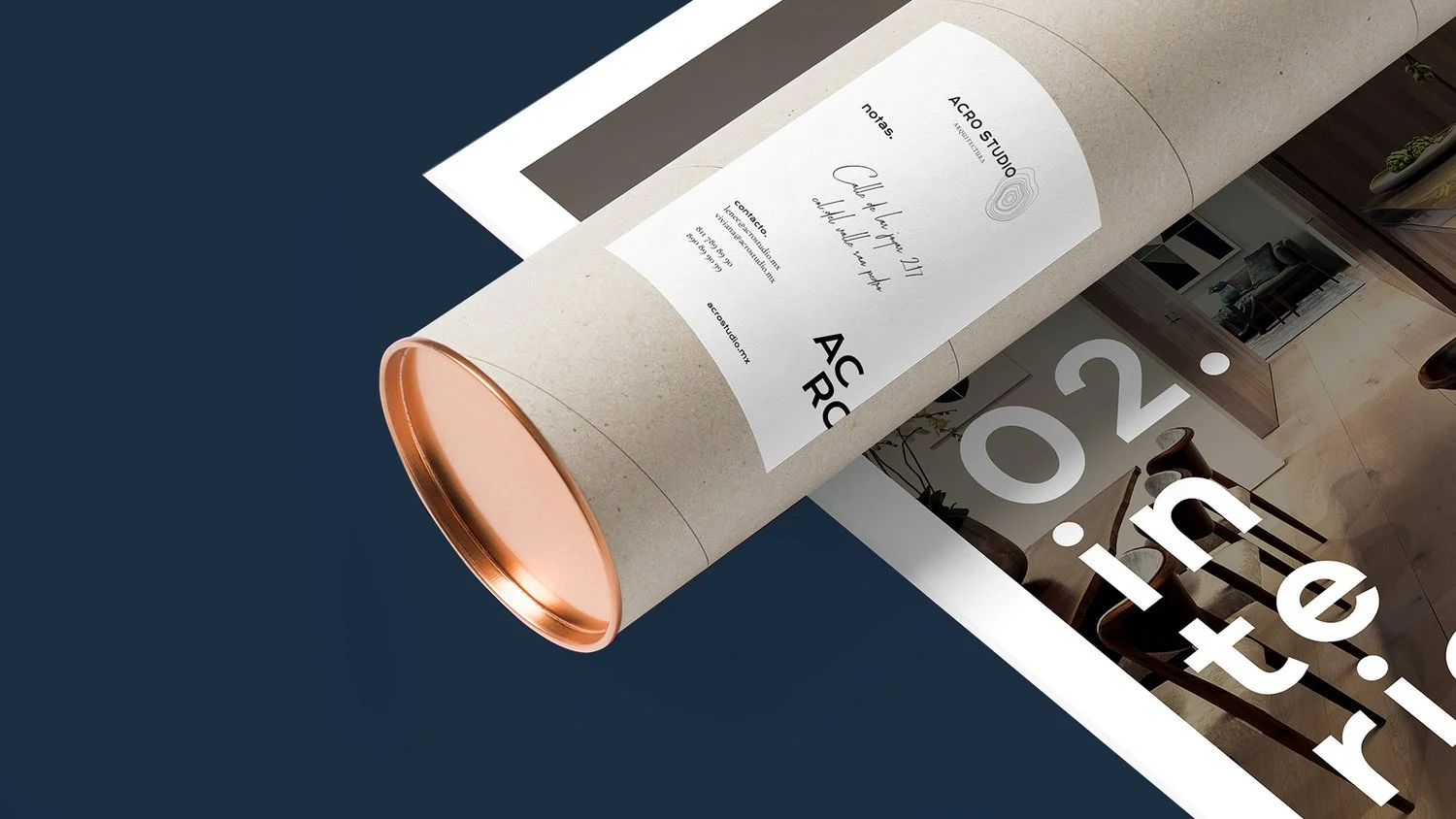 Entregax Paqueteria Contenedor